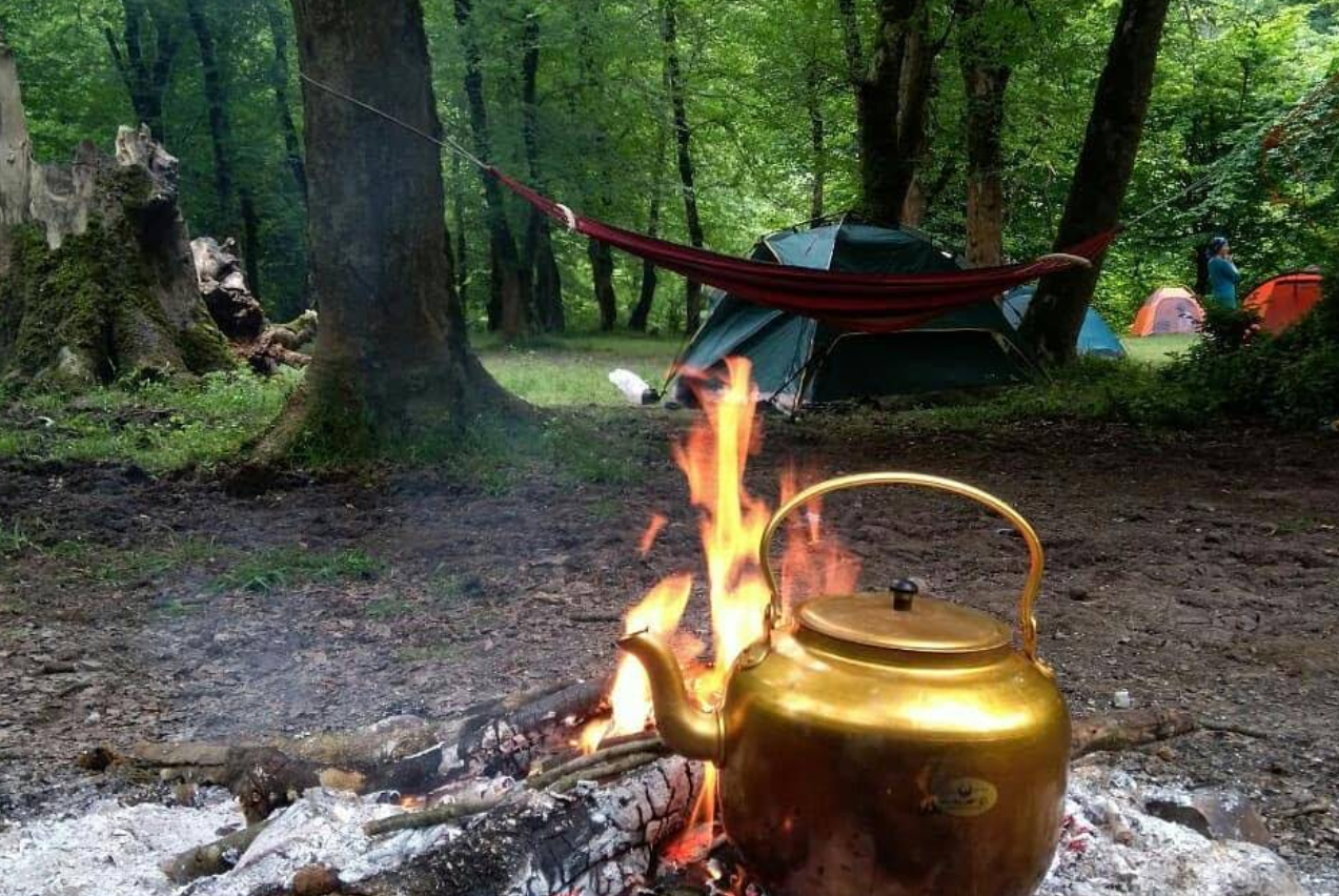 جنگل بلیران