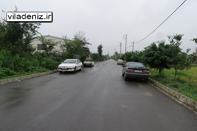 جنگل جللیکان