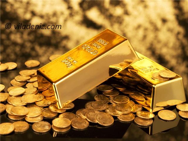 خرید سکه یا خرید زمین و خرید ویلا شمال