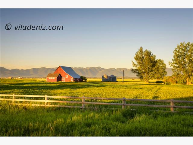 آیا ساخت ویلا در زمین زراعی امکان پذیر است؟