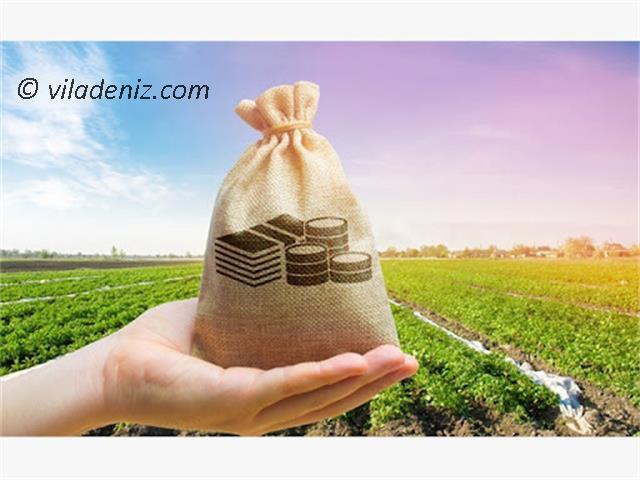 خرید دلار یا خرید ویلا و خرید زمین در شمال