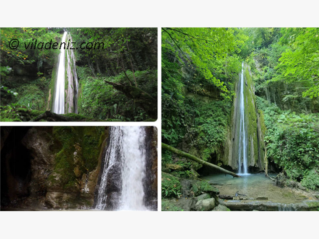 جنگل انگتارود یا آبشار انگتارود کجاست؟