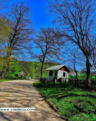 کیابسر کجاست؟روستای کیابسر در چمستان را بشناسیم