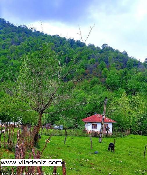 ولیسده کجاست خرید زمین در ولیسده آمل