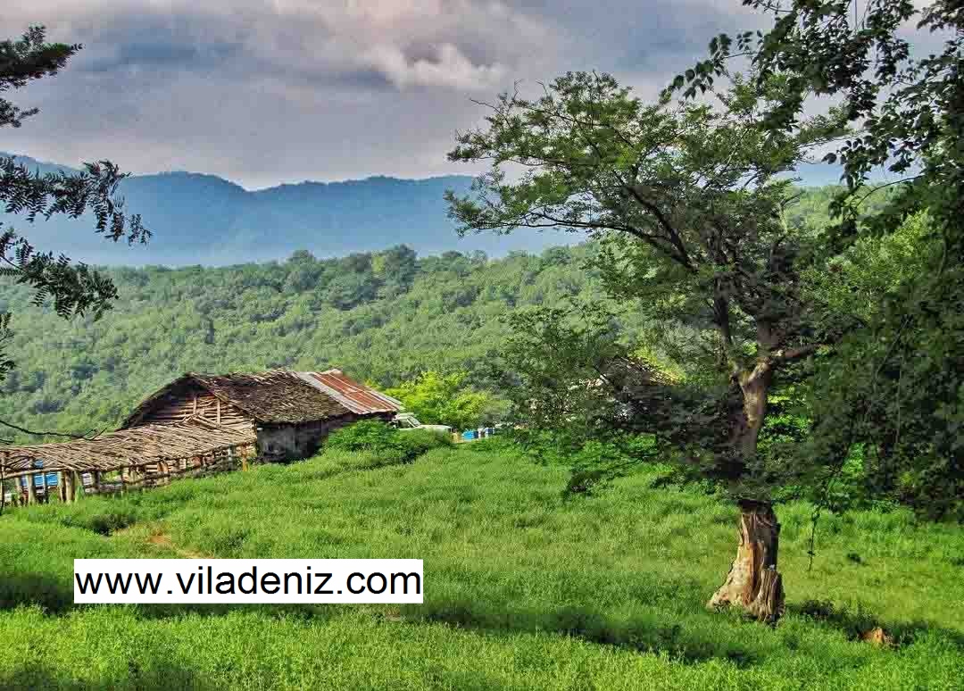 سائیج محله کجاست؟ خرید زمین در سائیج محله آمل