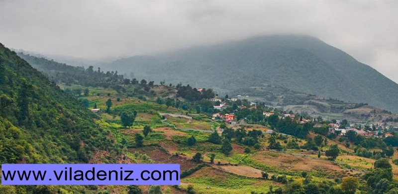 به این 5 دلیل سرمایه گذاری در چمستان نیاز به مشاوره و کمک دارد