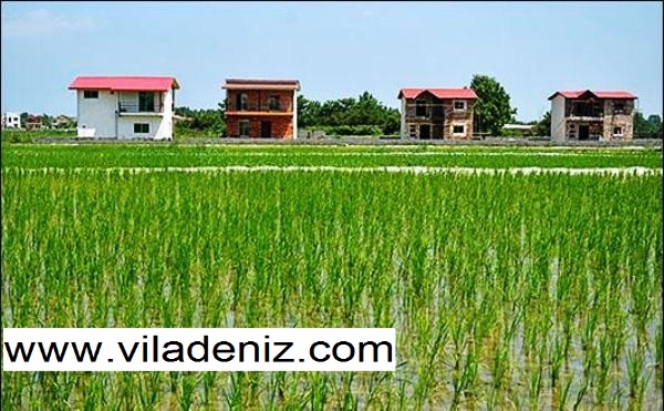 آیا ساخت ویلا در زمین زراعی امکان پذیر است؟