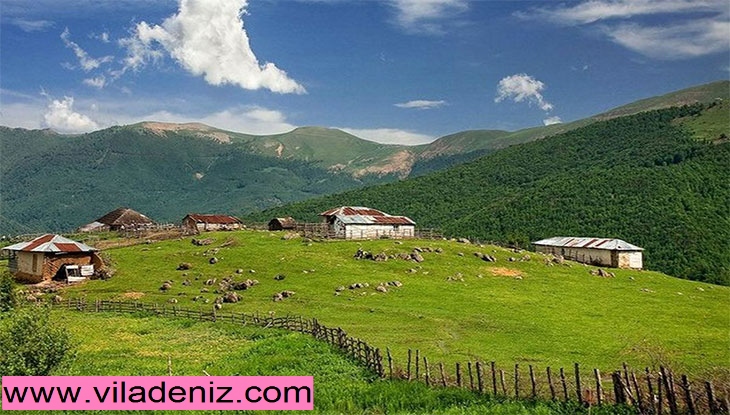 خرید زمین کوهستانی یا خرید زمین جنگلی در شمال