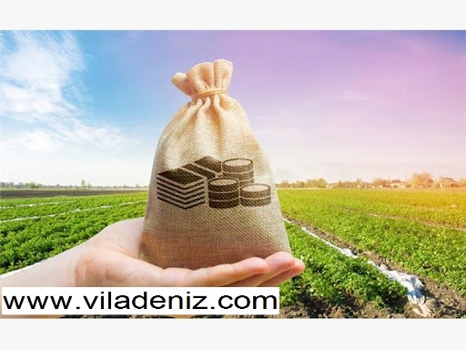 خرید دلار یا خرید ویلا و خرید زمین در شمال