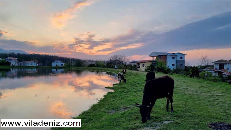 ولیرکان کجاست؟ خرید ویلا و خرید زمین در ولیرکان چمستان