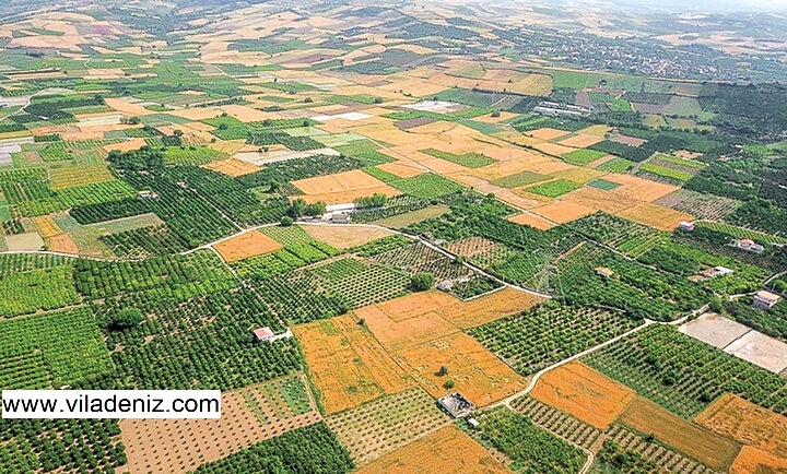 10 نکته مهم برای سرمایه گذاری در زمین های مازندران