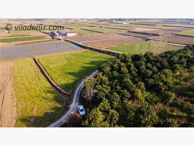 تو این زمین میتونی ویلای دلخواه خودتو خودت بسازی