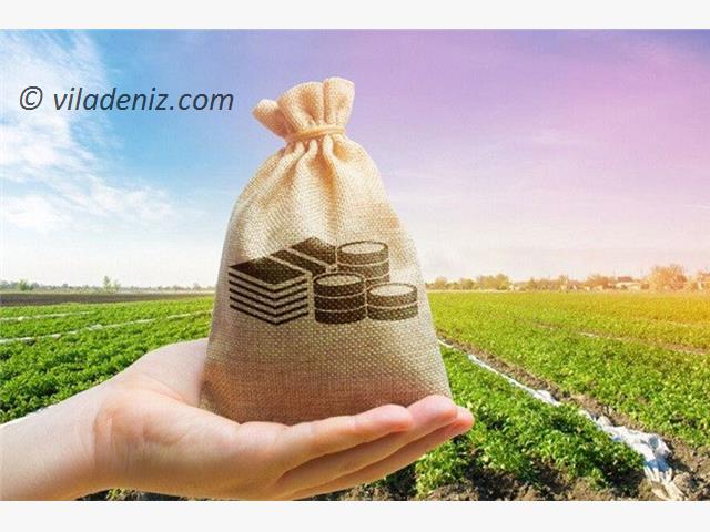 به این سه دلیل فروشنده زمین در مازندران متضرر می باشد اگر