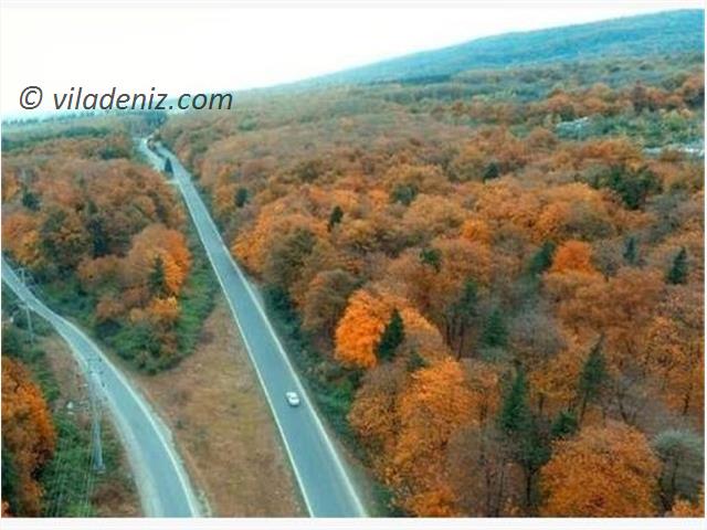 ضرر خرید زمین در آمل به این 5 دلیل در مجله ویلا دنیز